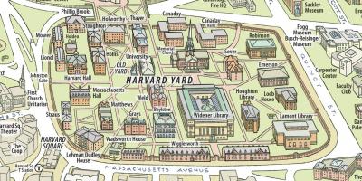 Xəritəsi Harvard universitetinin